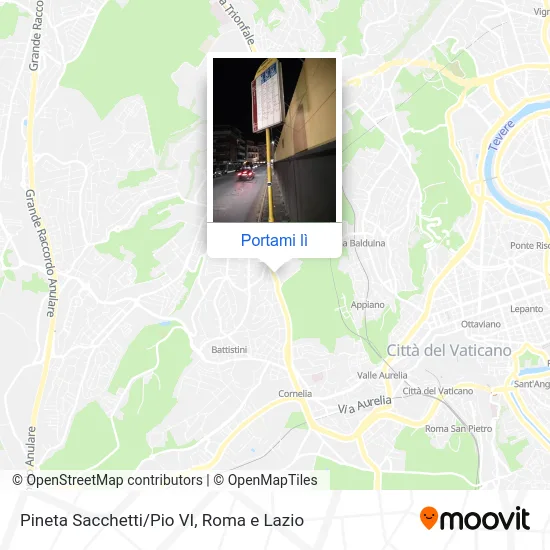 Mappa Pineta Sacchetti/Pio VI