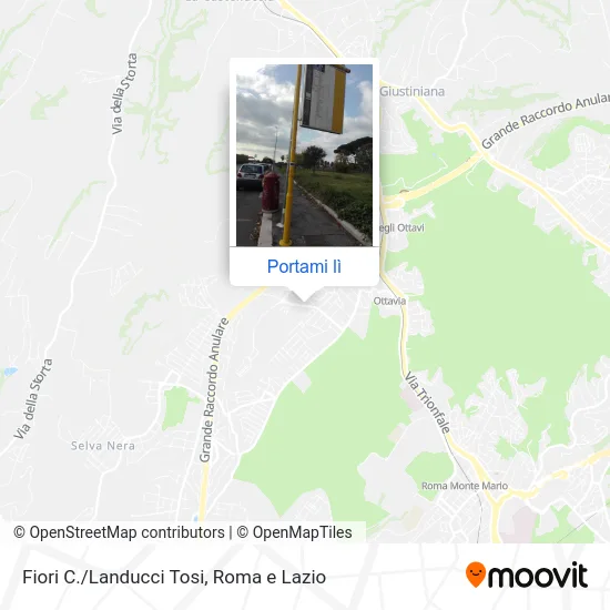 Mappa Fiori C./Landucci Tosi