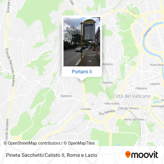 Mappa Pineta Sacchetti/Calisto II