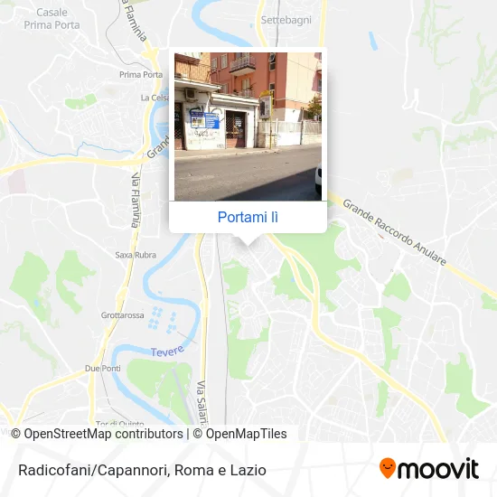 Mappa Radicofani/Capannori