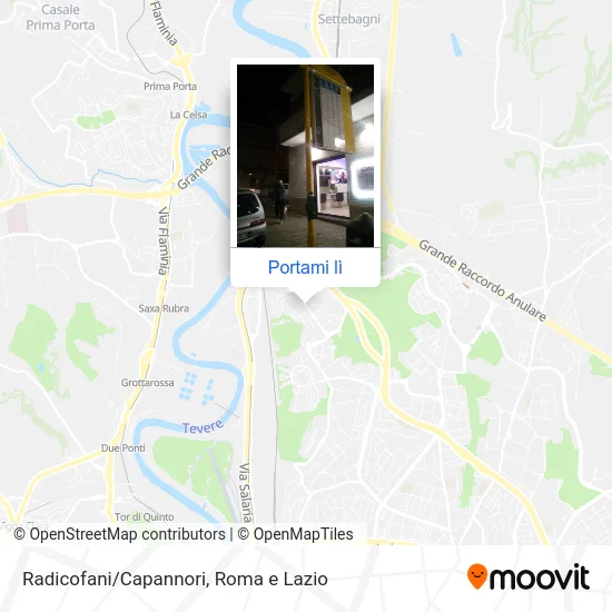 Mappa Radicofani/Capannori