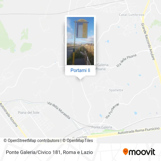 Mappa Ponte Galeria/Civico 181