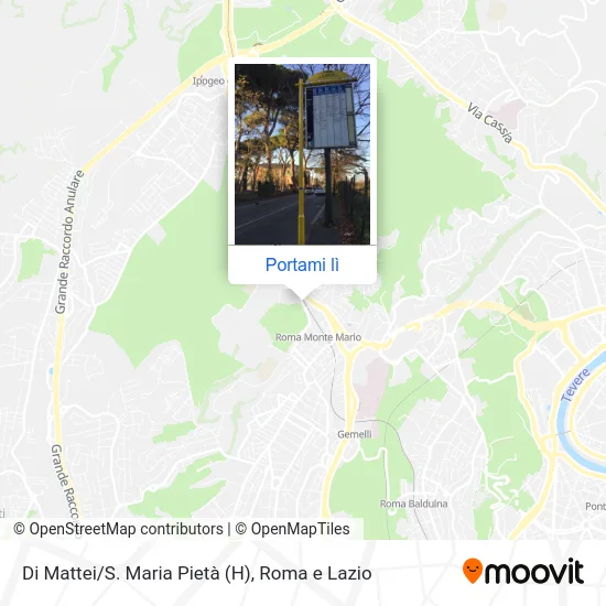 Mappa Di Mattei/S. Maria Pietà (H)