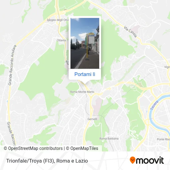 Mappa Trionfale/Troya (Fl3)