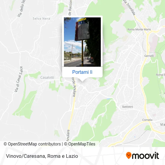 Mappa Vinovo/Caresana