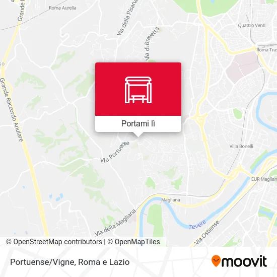 Mappa Portuense/Vigne