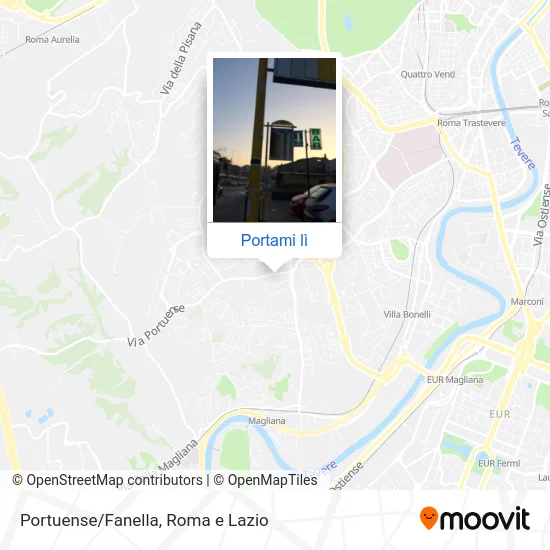 Mappa Portuense/Fanella