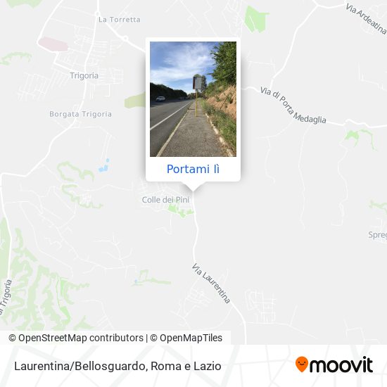 Mappa Laurentina/Bellosguardo