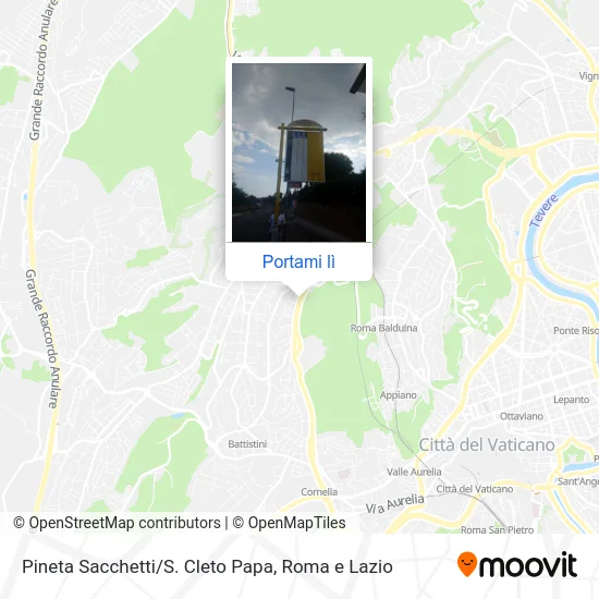 Mappa Pineta Sacchetti/S. Cleto Papa