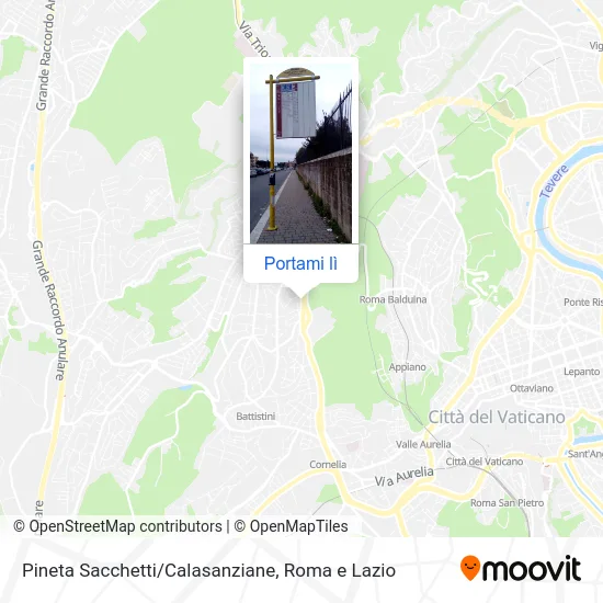 Mappa Pineta Sacchetti/Calasanziane