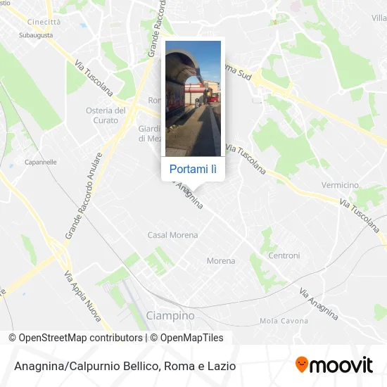 Mappa Anagnina/Calpurnio Bellico