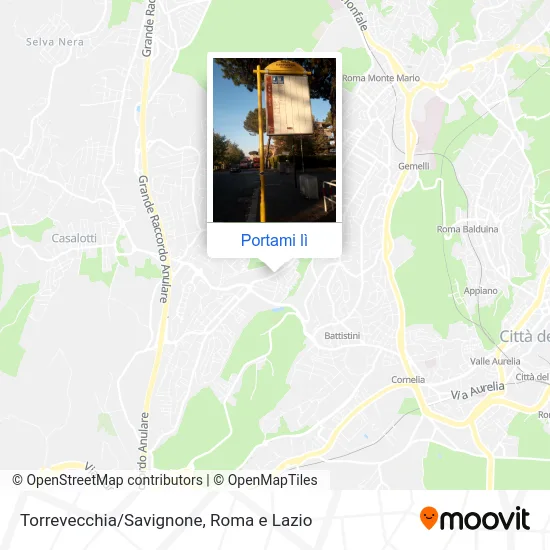 Mappa Torrevecchia/Savignone