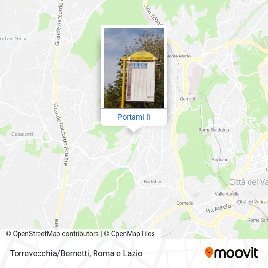 Mappa Torrevecchia/Bernetti