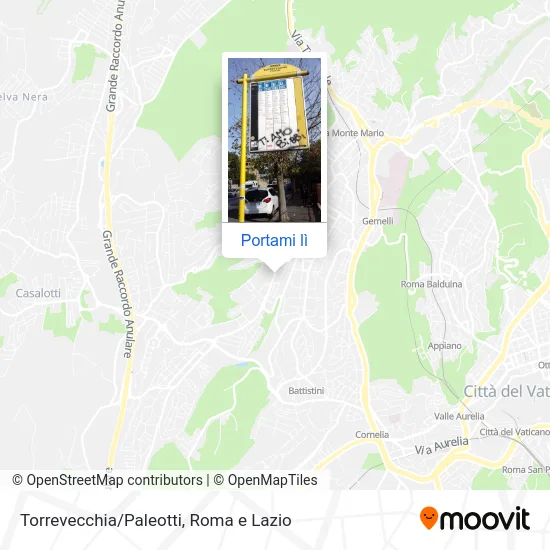 Mappa Torrevecchia/Paleotti