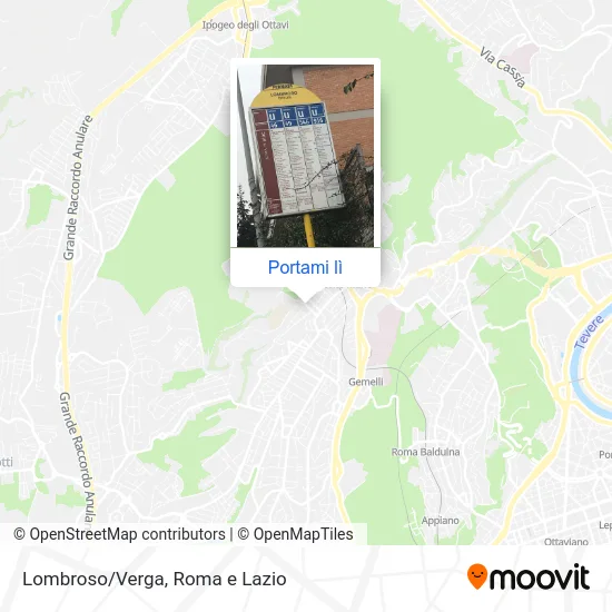 Mappa Lombroso/Verga