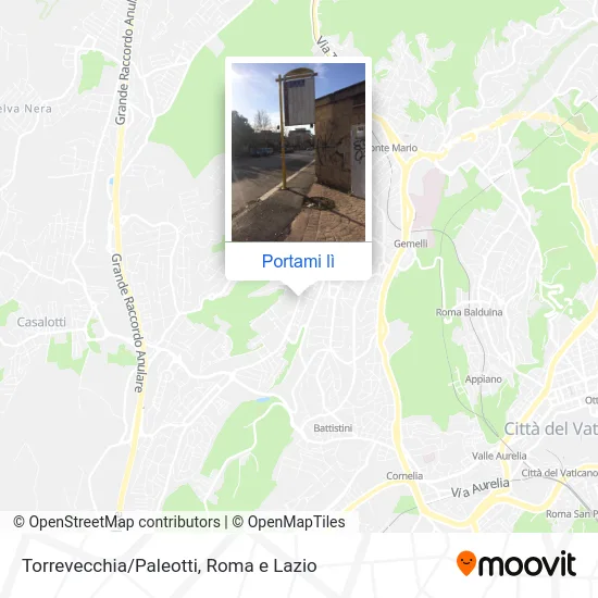 Mappa Torrevecchia/Paleotti