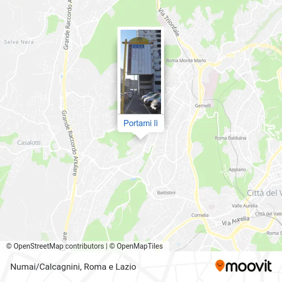 Mappa Numai/Calcagnini