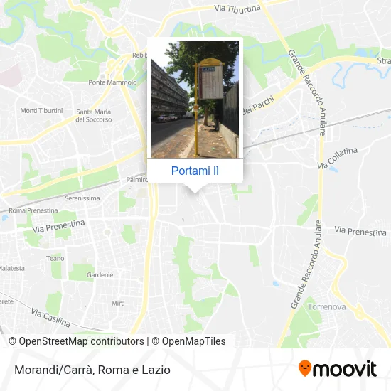 Mappa Morandi/Carrà