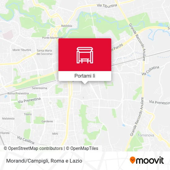 Mappa Morandi/Campigli