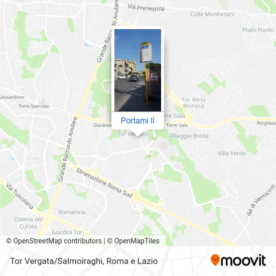 Mappa Tor Vergata/Salmoiraghi