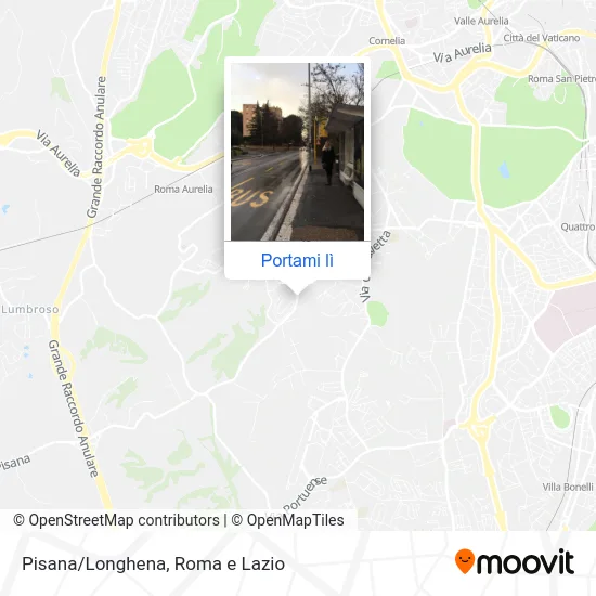 Mappa Pisana/Longhena