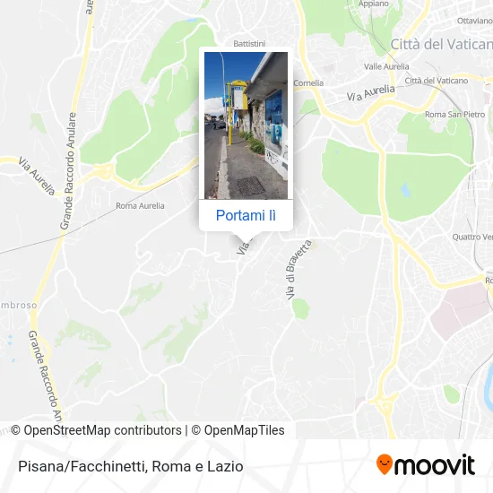 Mappa Pisana/Facchinetti