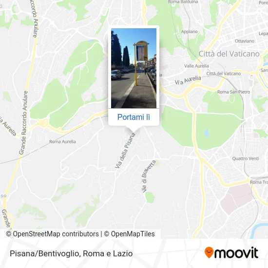 Mappa Pisana/Bentivoglio