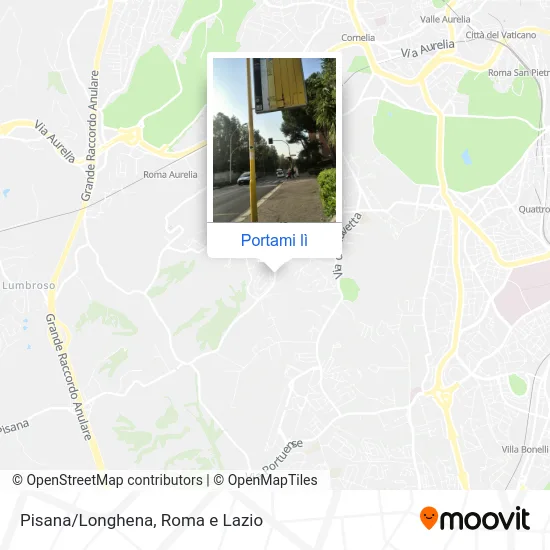 Mappa Pisana/Longhena