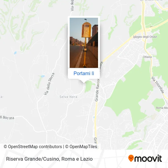 Mappa Riserva Grande/Cusino