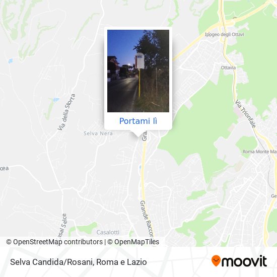 Mappa Selva Candida/Rosani