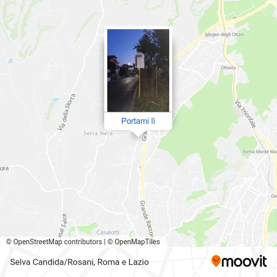 Mappa Selva Candida/Rosani