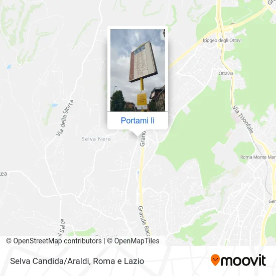 Mappa Selva Candida/Araldi