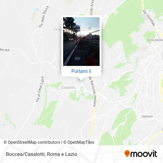 Mappa Boccea/Casalotti