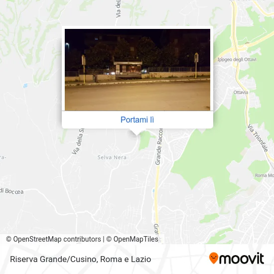 Mappa Riserva Grande/Cusino