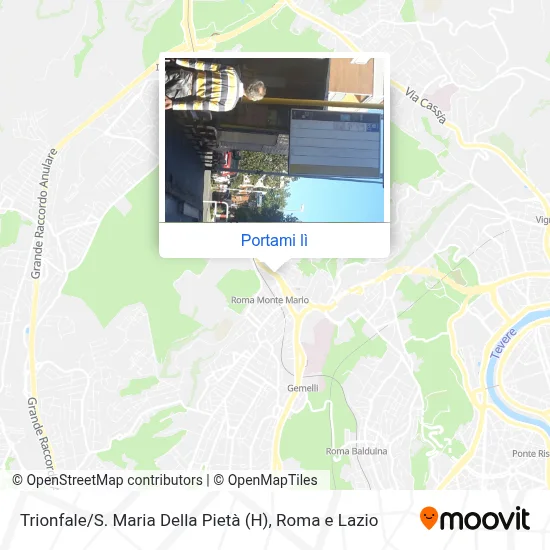 Mappa Trionfale / S. Maria Della Pietà (H)