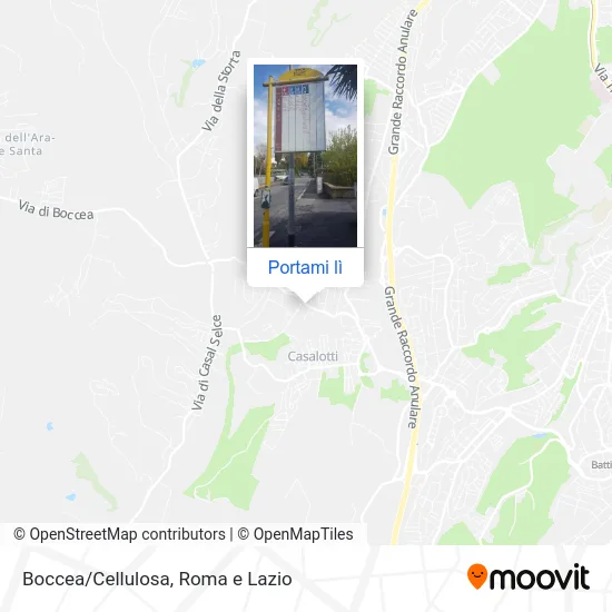 Mappa Boccea/Cellulosa