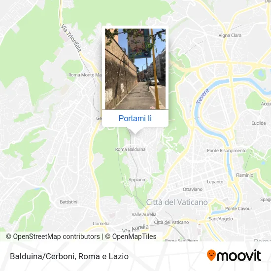 Mappa Balduina/Cerboni