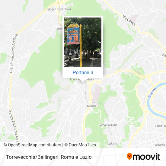 Mappa Torrevecchia/Bellingeri