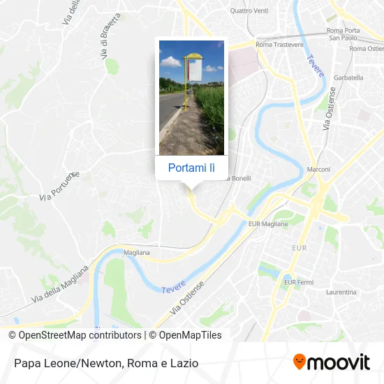 Mappa Papa Leone/Newton