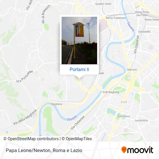 Mappa Papa Leone/Newton