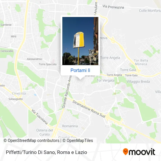 Mappa Piffetti/Turino Di Sano