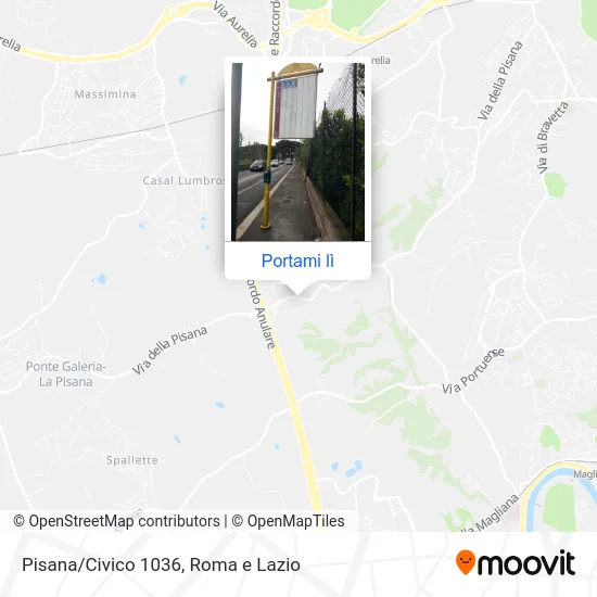 Mappa Pisana/Civico 1036