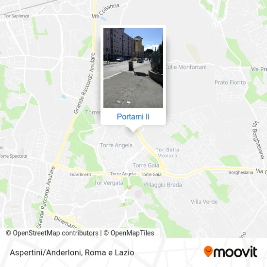 Mappa Aspertini/Anderloni