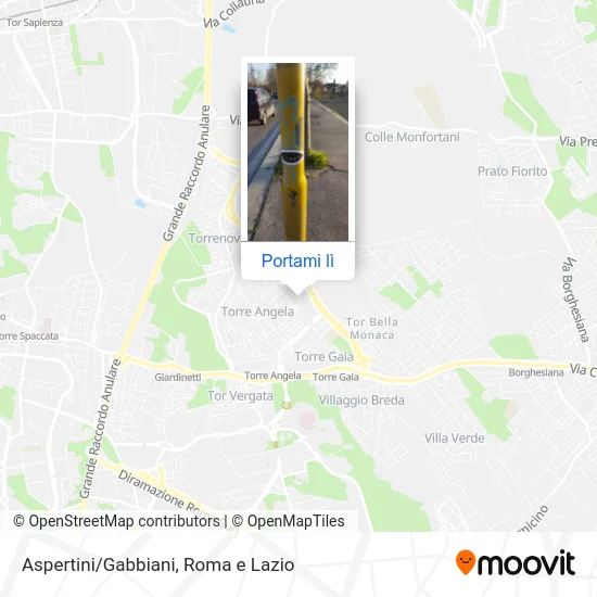 Mappa Aspertini/Gabbiani