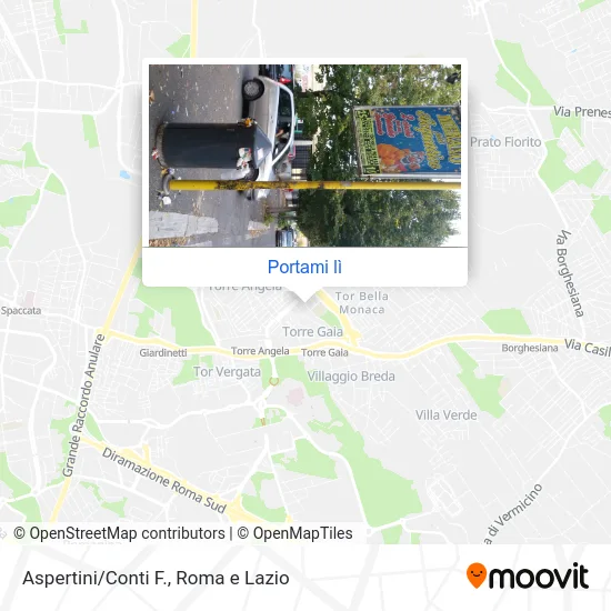 Mappa Aspertini/Conti F.