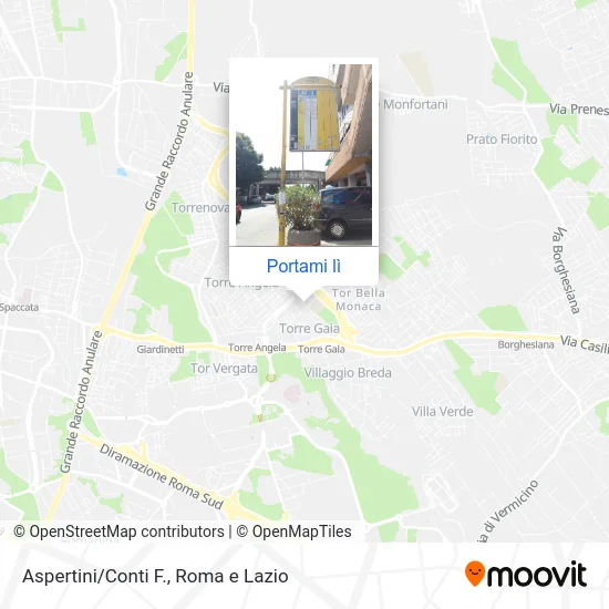 Mappa Aspertini/Conti F.