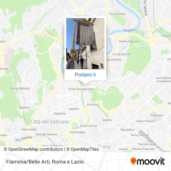 Mappa Flaminia/Belle Arti