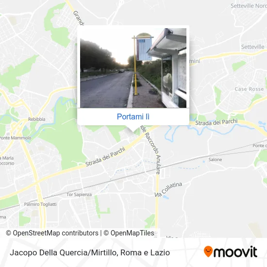 Mappa Jacopo Della Quercia/Mirtillo