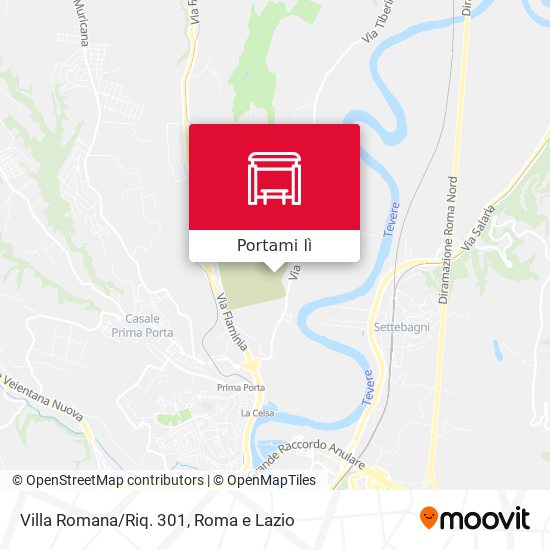 Mappa Villa Romana/Riq. 301