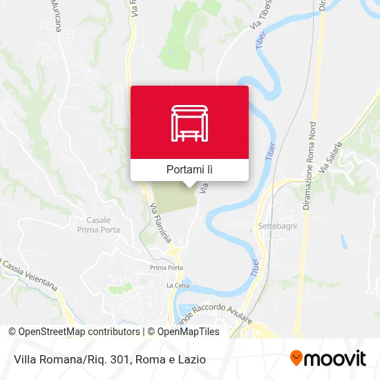 Mappa Villa Romana/Riq. 301